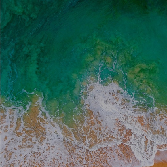 Meet your Posher, Patricia - Picture 1 of 1